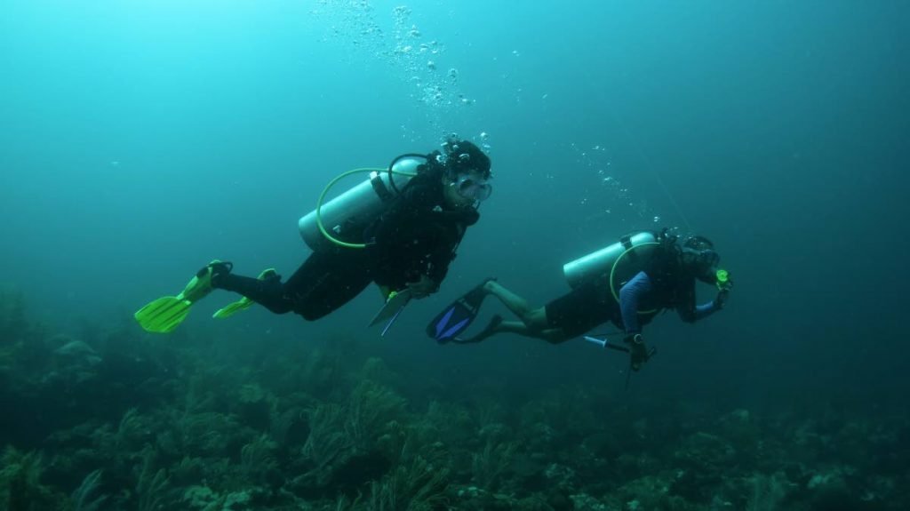 Lanya Fanovich (left) on a turtle survey with ERIC's community-based field technician and divemaster Welldon Map.  - 