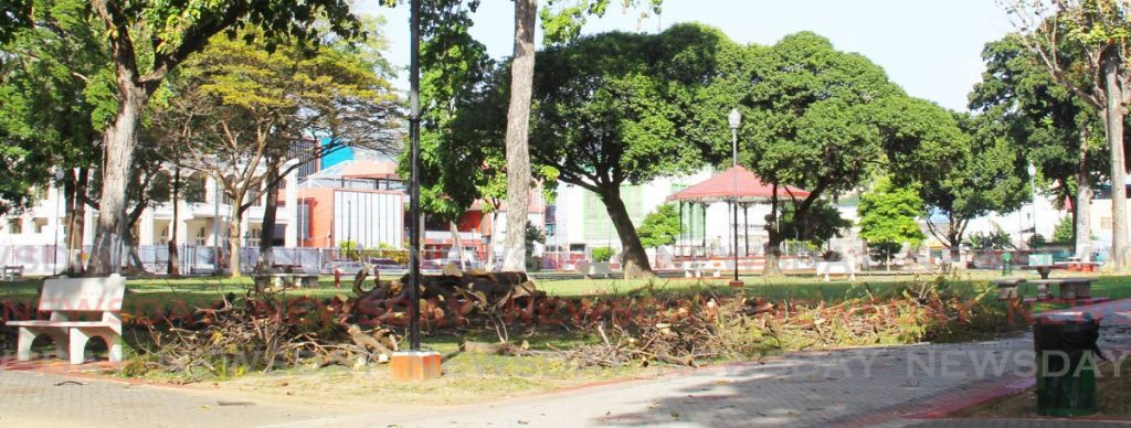 Cut branches from rotten trees at Woodford Square in Port of Spain. The square is expected to reopen to the public some time this week.  - ROGER JACOB