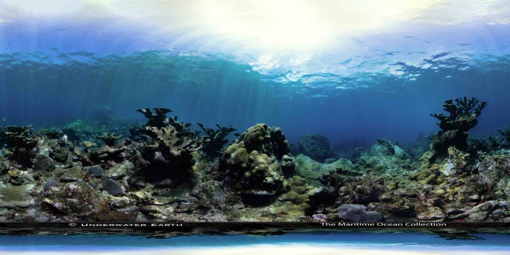 Dive coral reefs of Tobago on Google Earth Voyager. PHOTO COURTESY The Maritime Ocean Collection and Underwater Earth - 