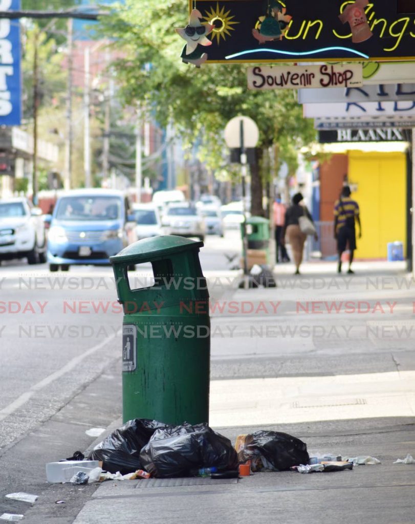 File photo of a garbage bin - Vidya Thurab