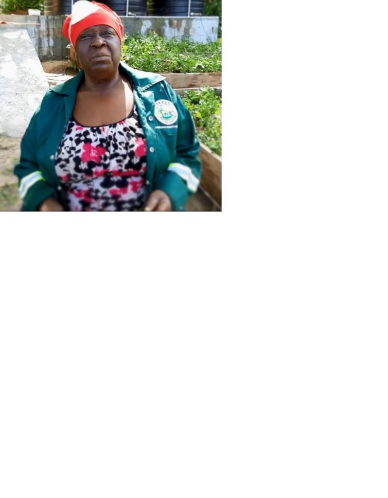 Mary Phillip-Jackson, Castara URP satellite farm, is grateful for the programme in Castara. PHOTO COURTESY DIQE - 