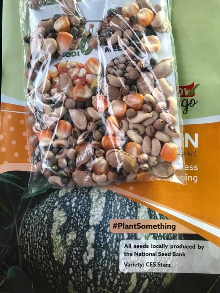 A package of seeds and instruction manuals distributed to the First Peoples and the people of Arima at the launch of GrowTrinbago, on Saturday.  - Photo courtesy Clarence Rambharat 