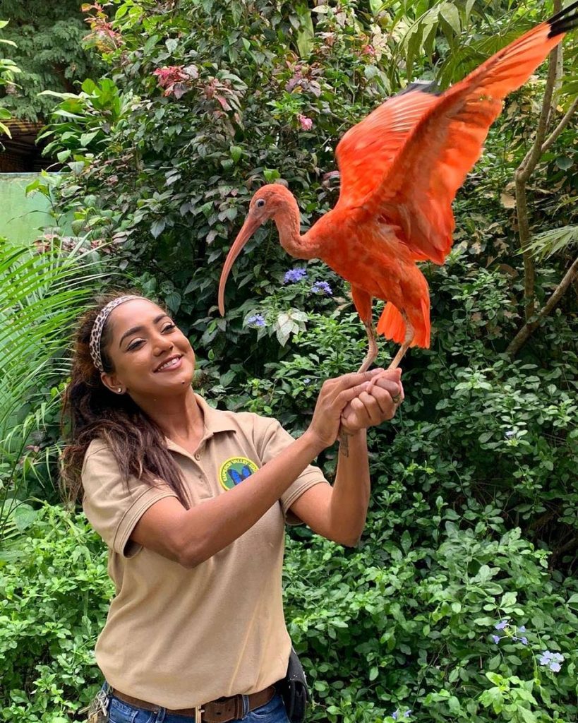 Zookeeper Sharleen Khan interacts with a Scarlet Ibis. Photo courtesy Sharleen Khan - 