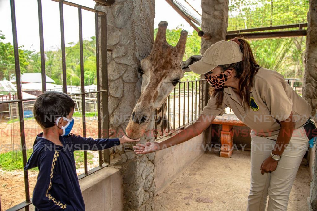 Sharleen Khan, zoological officer at the Emperor Valley Zoo, helps six-year-old Ashton Ali of South Oropouche with feeding Mandela the giraffe on Monday. - Jeff Mayers