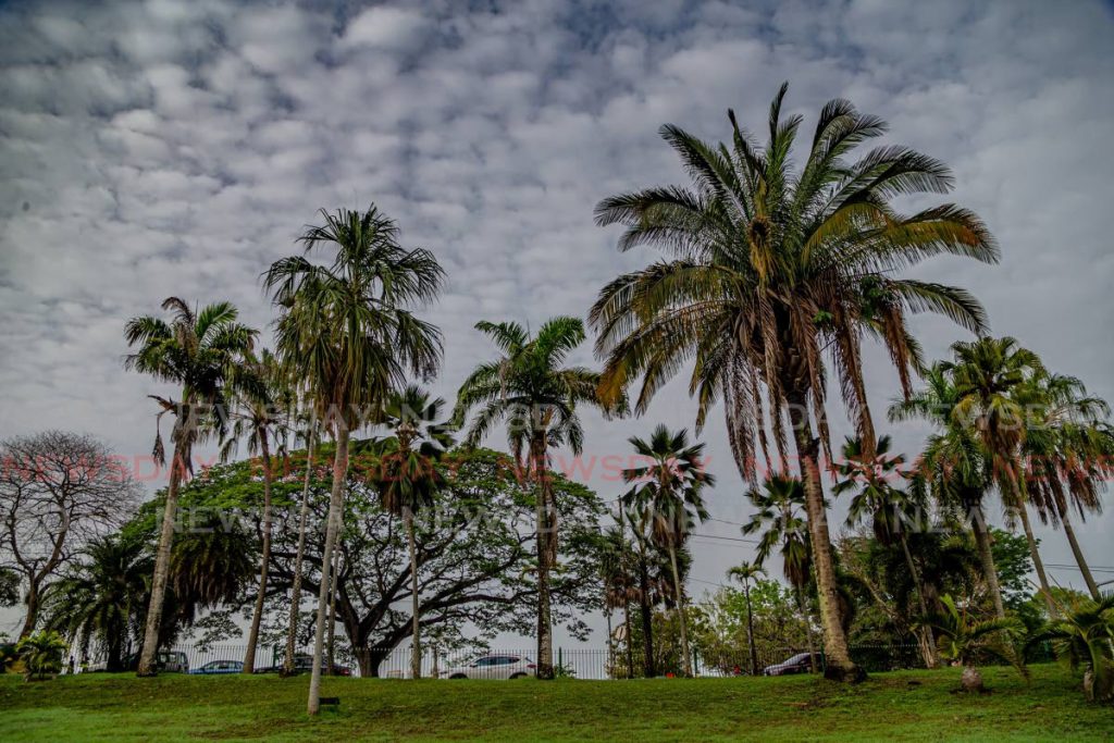 Botanic Gardens untouched - Trinidad and Tobago Newsday