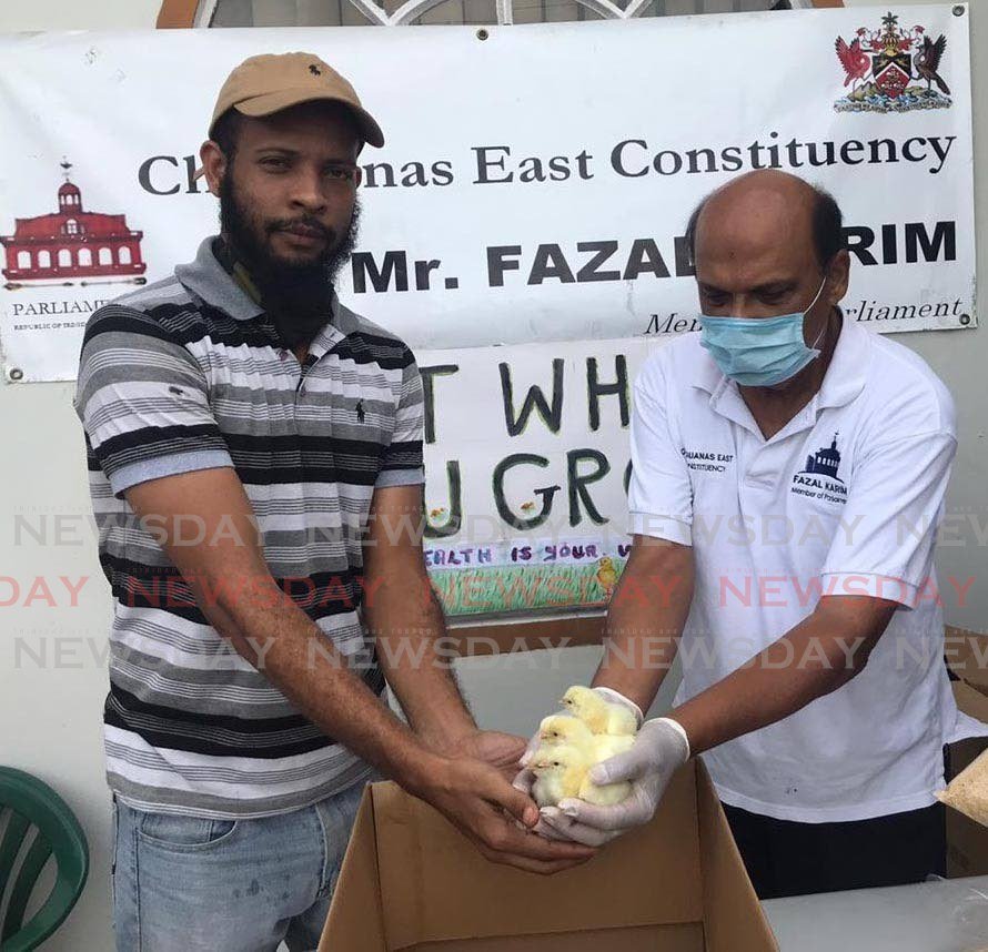 FOR YOU: Chaguanas East MP Fazal Karim, right, presents some chicks to a constituent.  - 