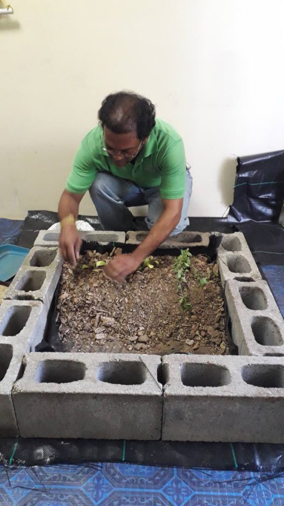 Carlson Teloka demonstrating how to install plants in a grow box. Photo by Indira Jagoo-Teloka - Indira Jagoo-Teloka