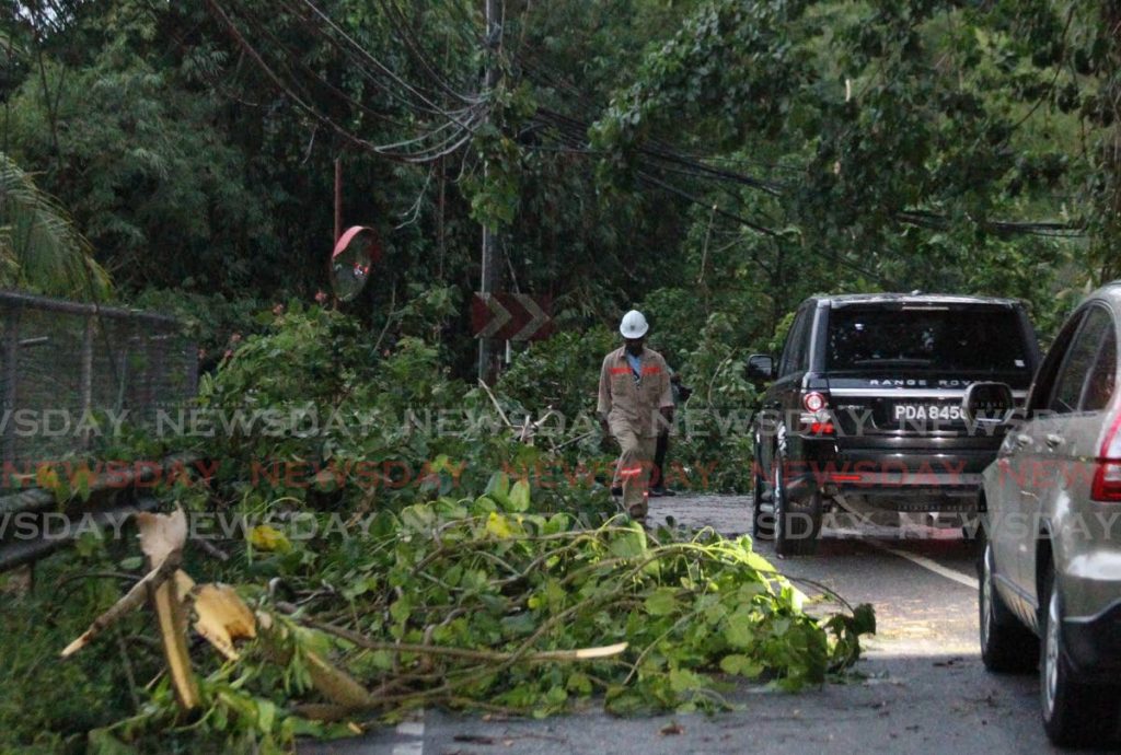 TTEC workmen try to restore electricity to the area after falling branches caused blackouts and a traffic pile-up on Saddle Road in Maraval on Wednesday. - ROGER JACOB
