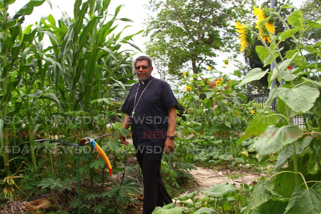 His Grace Charles Jason Gordon, walks along the footpath, alongside the towering sunflower and corn plants, at the south eastern side of the property. - ROGER JACOB