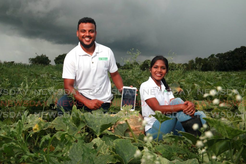 

MAIN PHOTO

Growsmartt Collective Intelligence CEO Vijay Dialsingh and head of research Priyabhashani Ramsaroop in a pumpkin field in Calcutta #1, Couva where they spent time gathering data on the crop.  - Marvin Hamilton