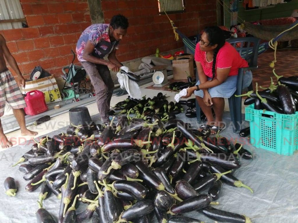 Annie Deonanan and her son-in-law Sean Ali makes sure the biagan for sale is spotless before heading to the Macoya wholesale market on Wednesday.  - DARREN BAHAW