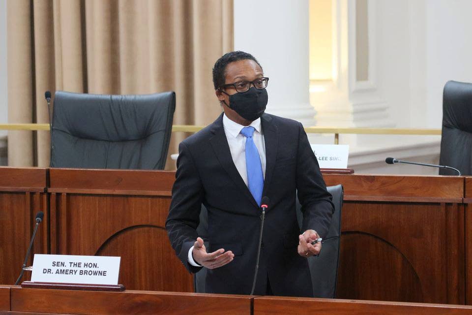 Minister of Foreign and Caricom Affairs Dr Amery Browne contribute to the debate on the Public Health (Amendment) Bill 2020 on Saturday. - Office of the Parliament 