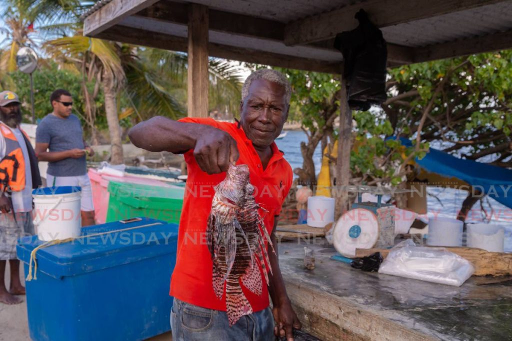 FRESHLY CAUGHT: Fisherman Edward Grant holds a lionfish for sale at his stall at the side of the road in Lambeau, Tobago. FILE PHOTO  - 