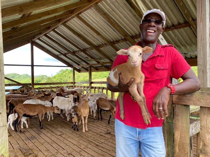 PROUD FARMER: Prime Minister Dr Keith Rowley smiles as he holds a lamb on his farm in Mason Hall this week. - Facebook