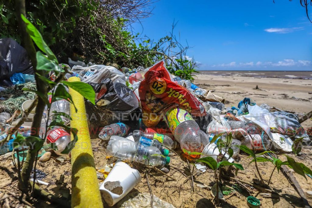 Litter on Quinam Beach - File Photo