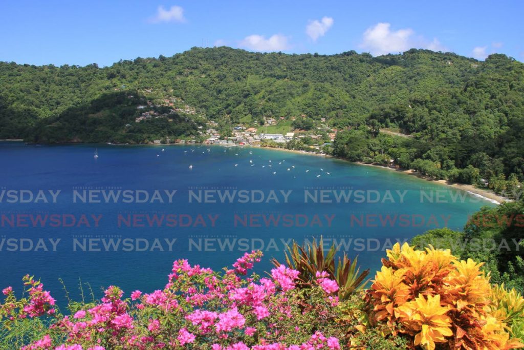 A view of Man O War Bay, Charloteville. - Ayanna Kinsale 