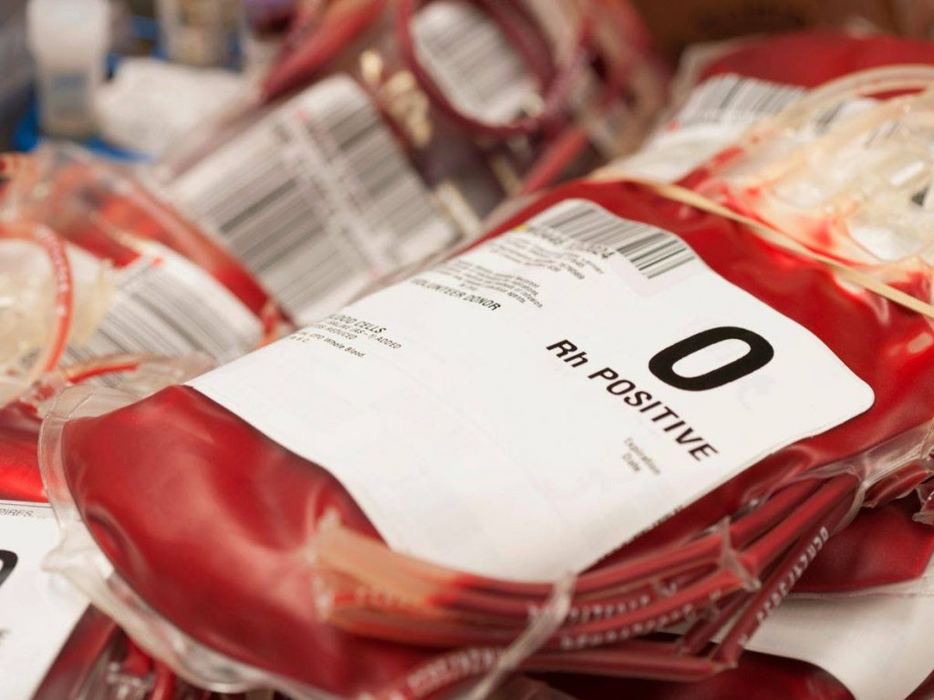 Pouches of donated blood. - File photo