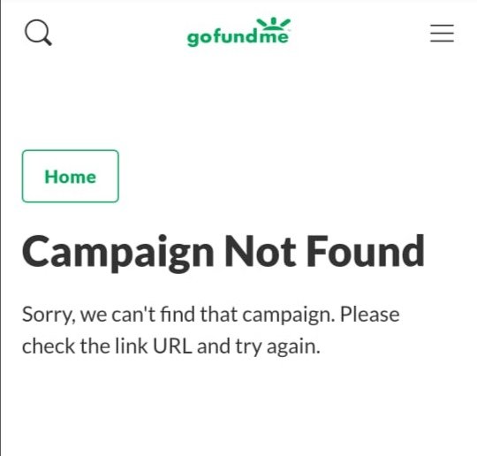 Screenshot showing the DSS (Drug Sou-Sou) GoFundMe page has been pulled down. 