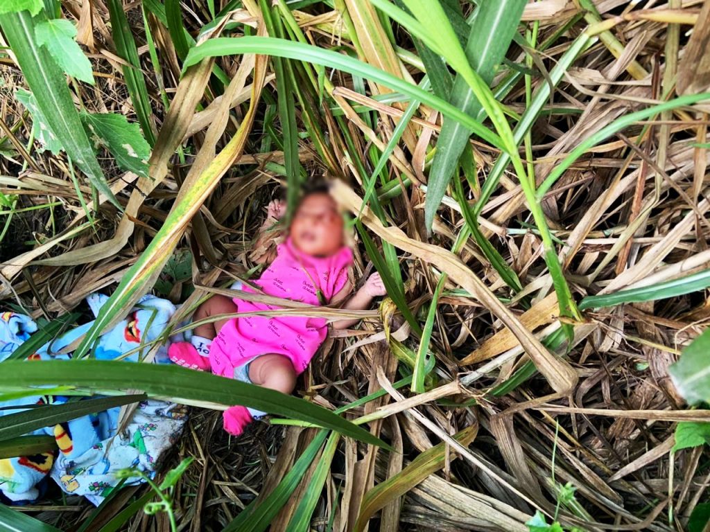 CRUEL AND INHUMANE: This photo, provided by the TTPS, shows a baby girl found abandoned in some bushes in Freeport on Thursday morning. The baby is now in the care of doctors and nurses at Couva Health Centre and is said to be in a good condition. 