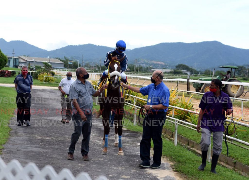 Winner Wise Guy makes his way off the tracks after winning the Trinre Steward Cup, Trinre Trinidad Derby Stakes at the Santa Rosa Park, Arima, on Saturday. - Ayanna Kinsale 