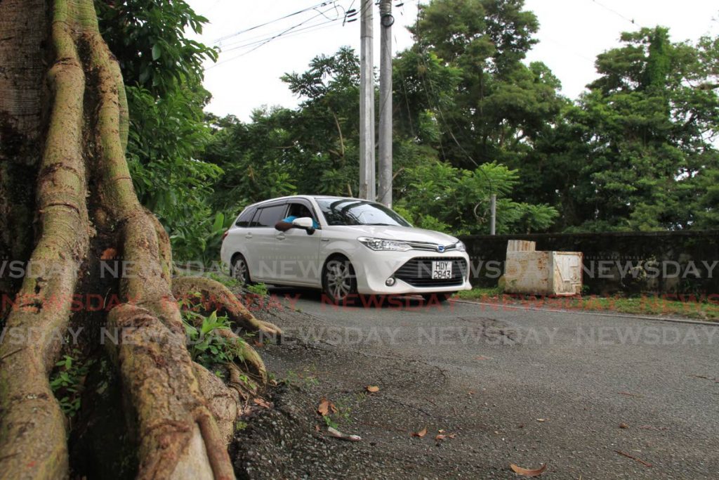 A vehicle passes near cracks on the road caused by the spread of the roots from a silk cotton tree on Des Vignes Road, Moriah, Tobago - Ayanna Kinsale 
