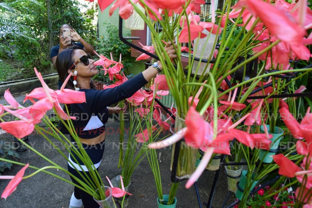 Designer Shoma Persad shops at the Horticultural Society's annual plant sale at its headquarters, Lady Chancellor Road, Port of Spain, on Saturday morning. - Vidya Thurab