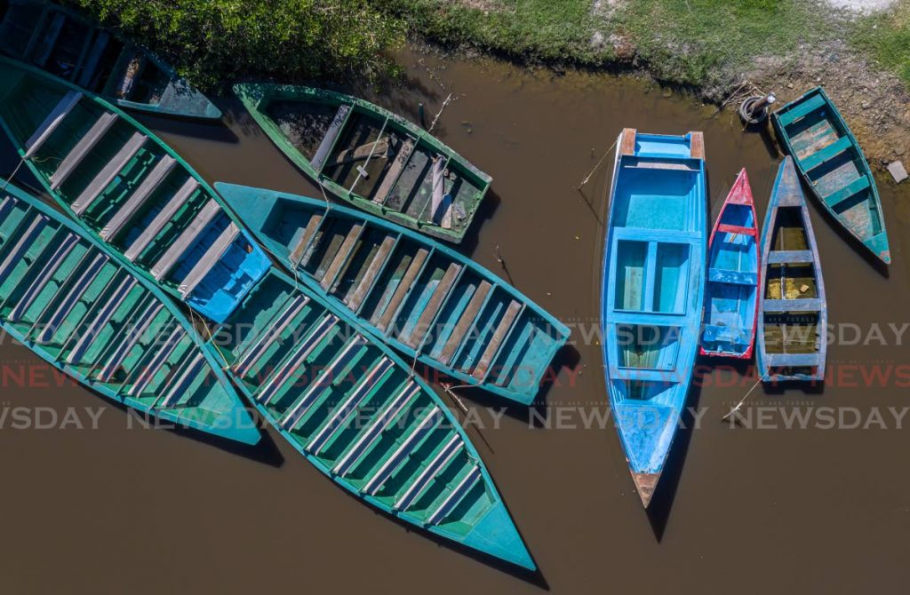 Tour boats docked in the Caroni Swamp, Caroni - Photo by Jeff K. Mayers