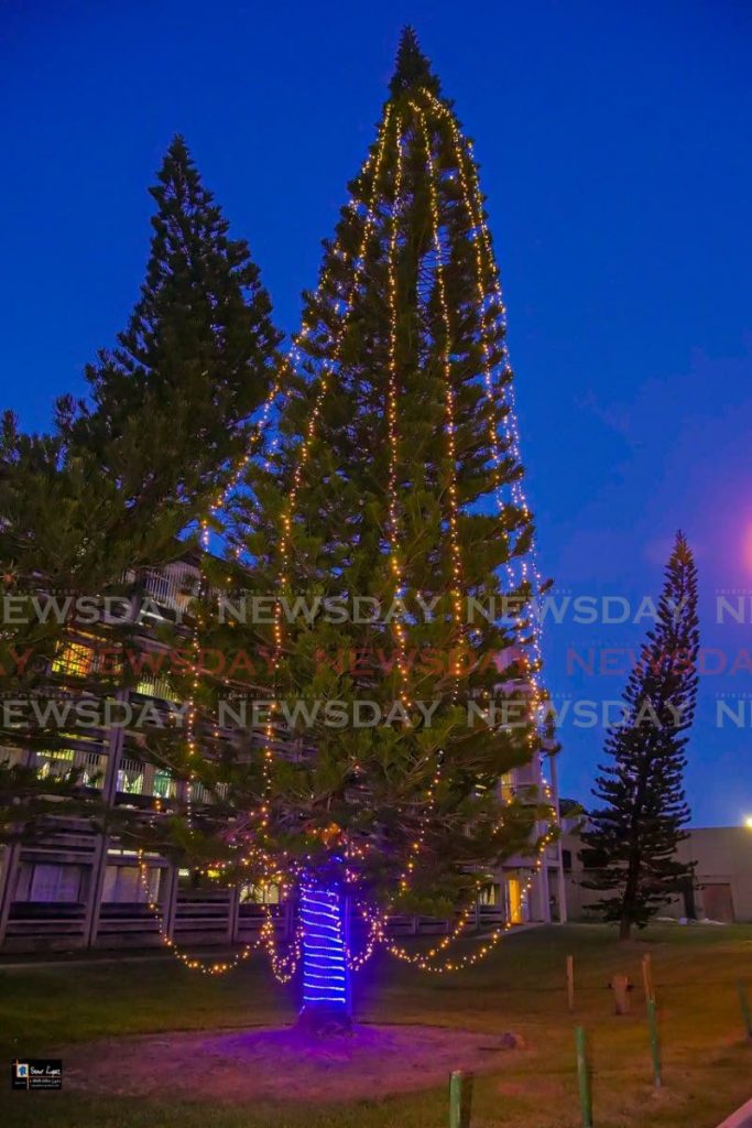 Two trees in the vicinity of the paediatric hospital at the EWMSC were lit by members of the Rotary Club of St Augustine West on December 5. - 