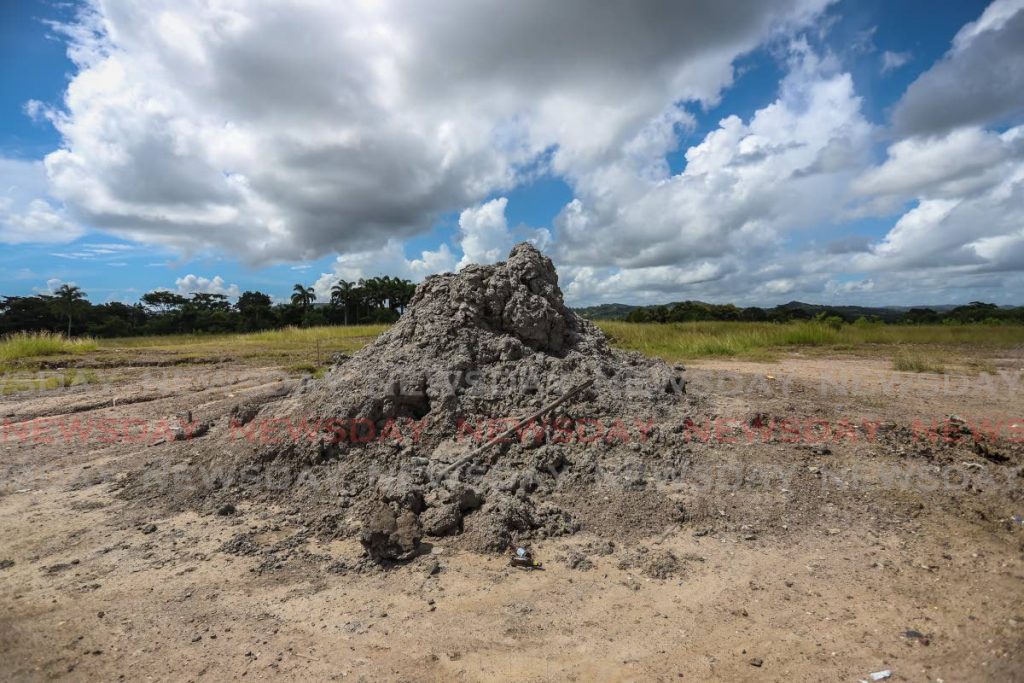 A small cone on the mud volcano in the southern village of Piparo in  Trinidad. File photo/Jeff Mayers - 