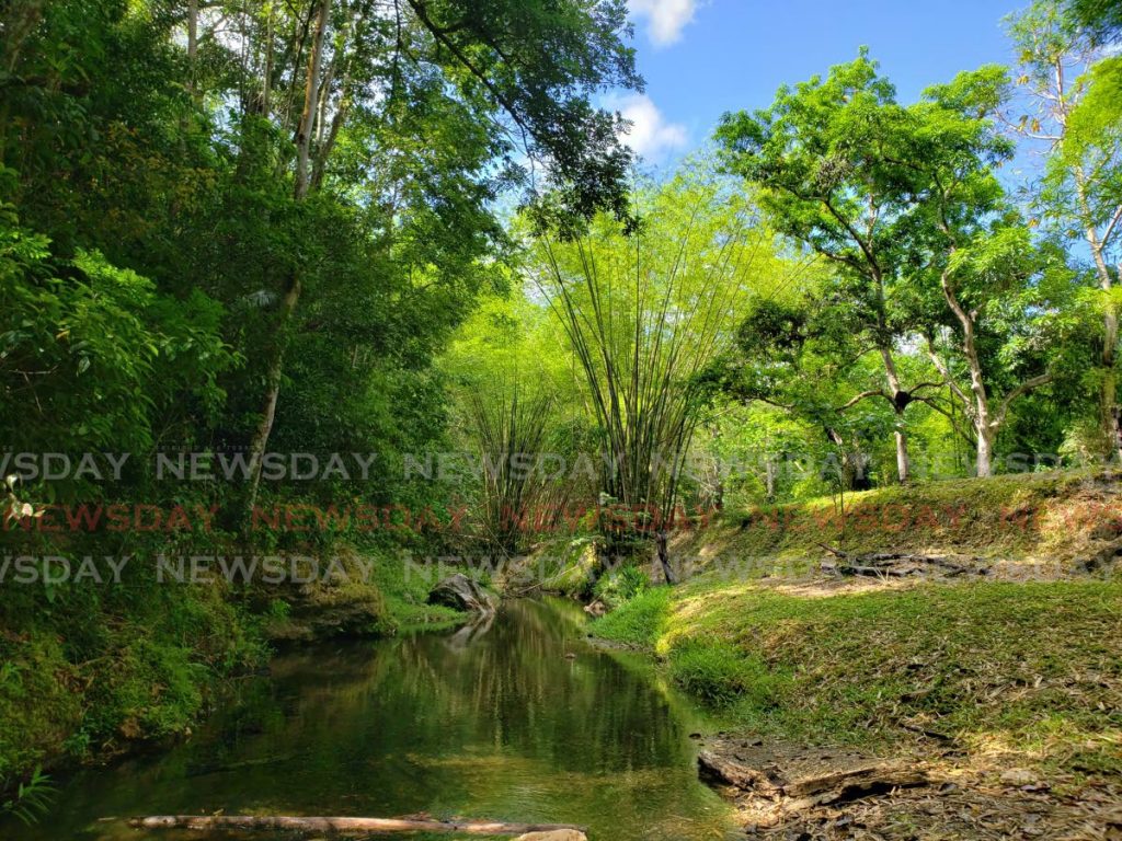 In this April 30, 2020 file photo pool one at Caura River is untouched as the recreational site was among rivers and beaches closed to curb the spread of covid19. File photo/ Roger Jacob