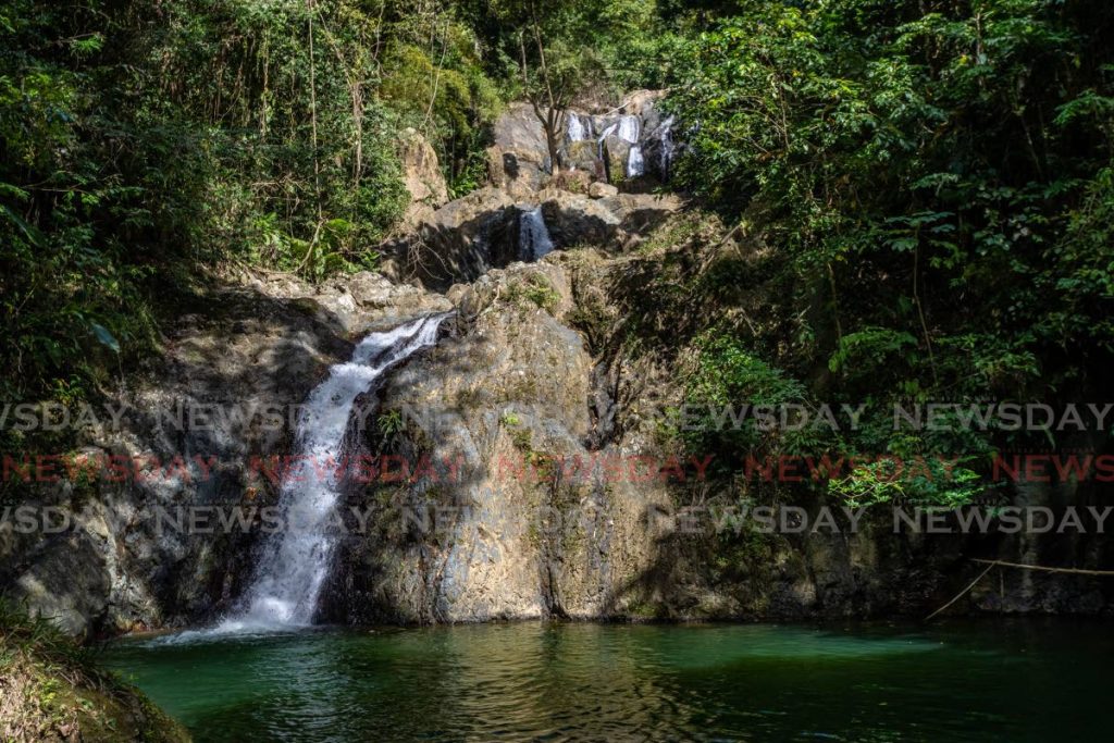 Argyle Waterfalls and nature Park Roxborough, Tobago. - JEFF K MAYERS