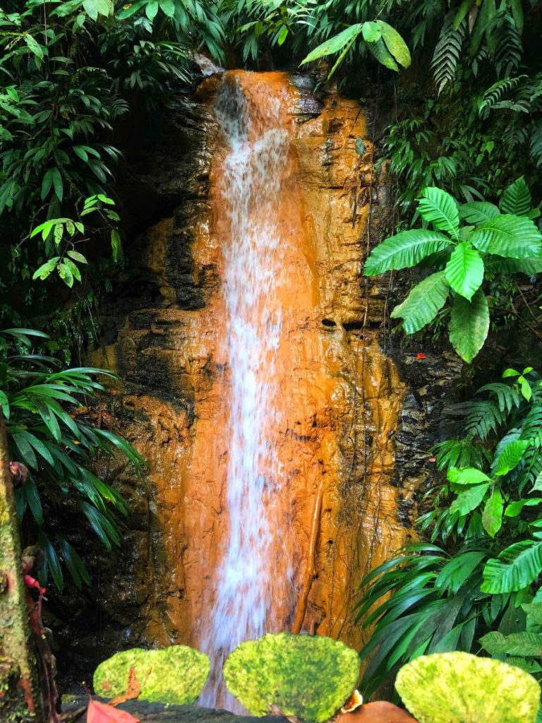 A waterfall with deposits of clay along its rock face in the Main Ridge Forest Reserve. - ANJANI GANASE 