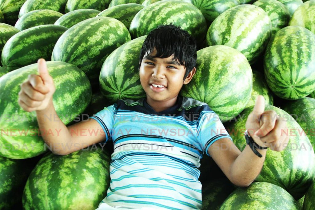 Young farmer Kyle Rampart lies on a bed of watermelons he grew with his family in Manzanilla. - 