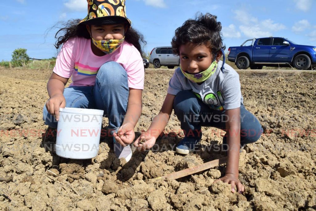 Alyxa Patton, nine, and her brother Dante plant moringa seeds at Let's Plant a Mini Forest on World Forest Day at Perseverance Estate, Waterloo Road, Couva on Sunday morning. - Vidya Thurab