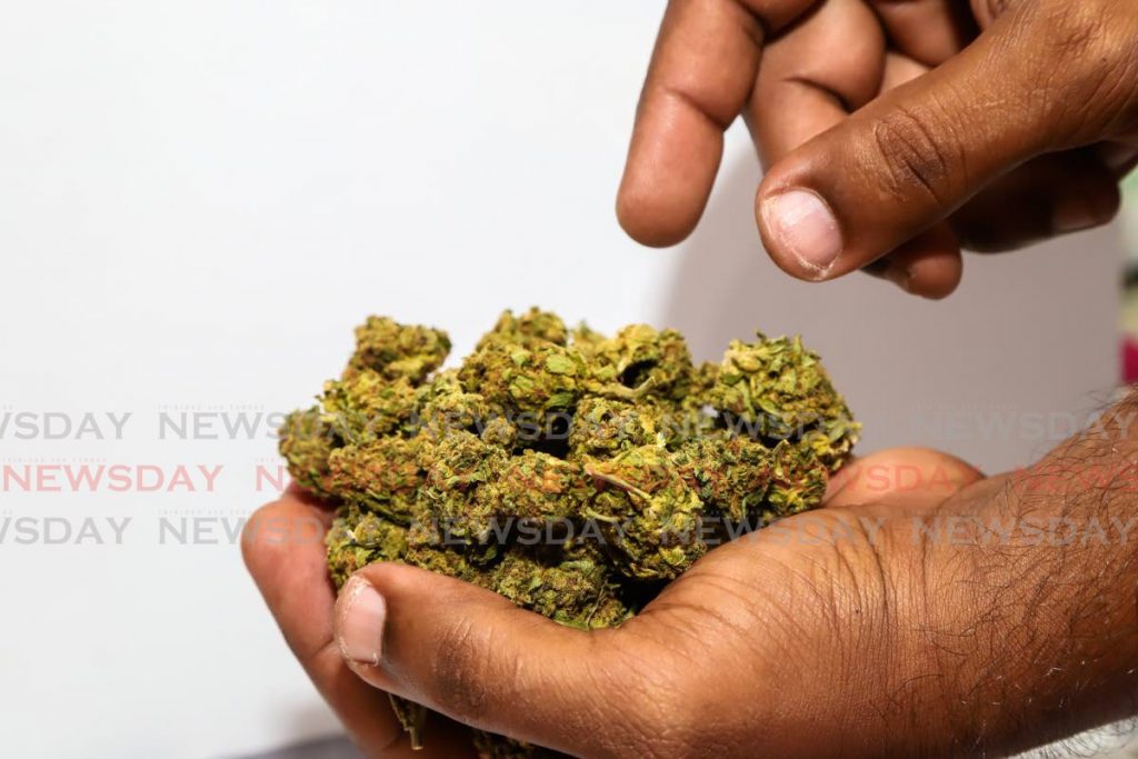 30 grams of local 'Wedding Cake' marijuana. Photo by Jeff K Mayers  - 