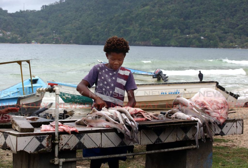 A young fish vendor cleans a catch at Maracas Bay. - Photo by Sureash Cholai