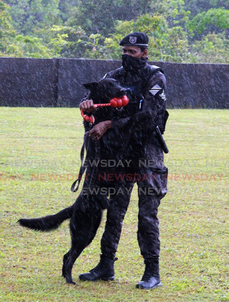 Tino is embraced by his handler at SORT's Cumuto base. - ROGER JACOB