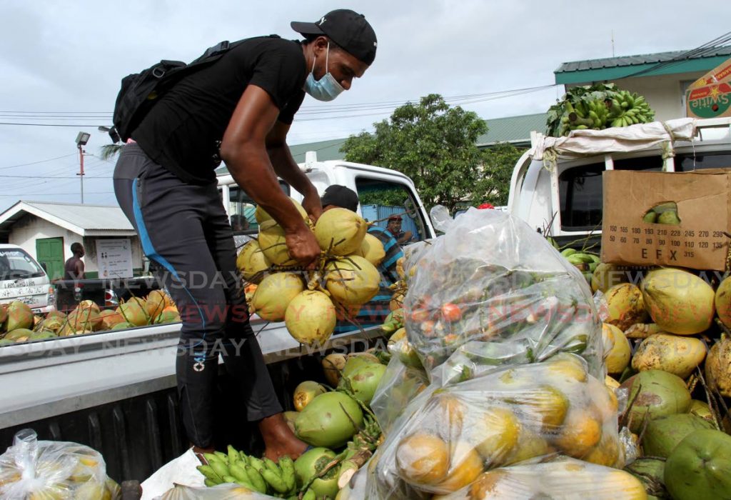 This vendor sorts coconuts for sale at the Norris Deonarine Northern Wholesale Market, Macoya. - AYANNA KINSALE