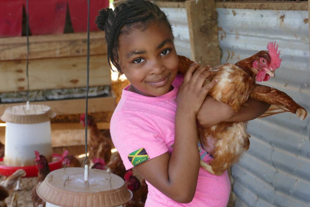 Kaija Dillon likes hugging the chickens because the feathers are so soft. Photo by Elspeth Duncan