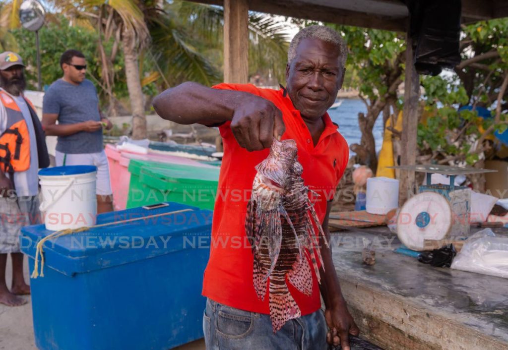 Fisherman Edward Grant holds a lionfish for sale at his stall at the roadside in Lambeau. - 