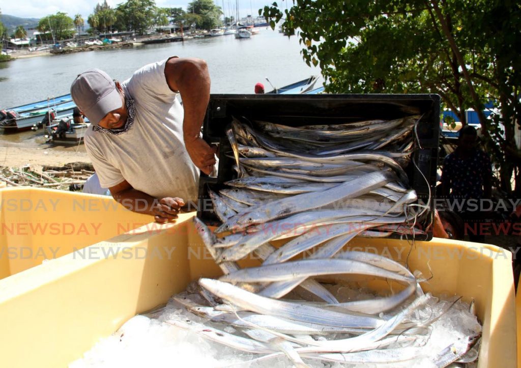 This buyer offloads a crate of cutlass fish at Chaguarams in December last year.  - 