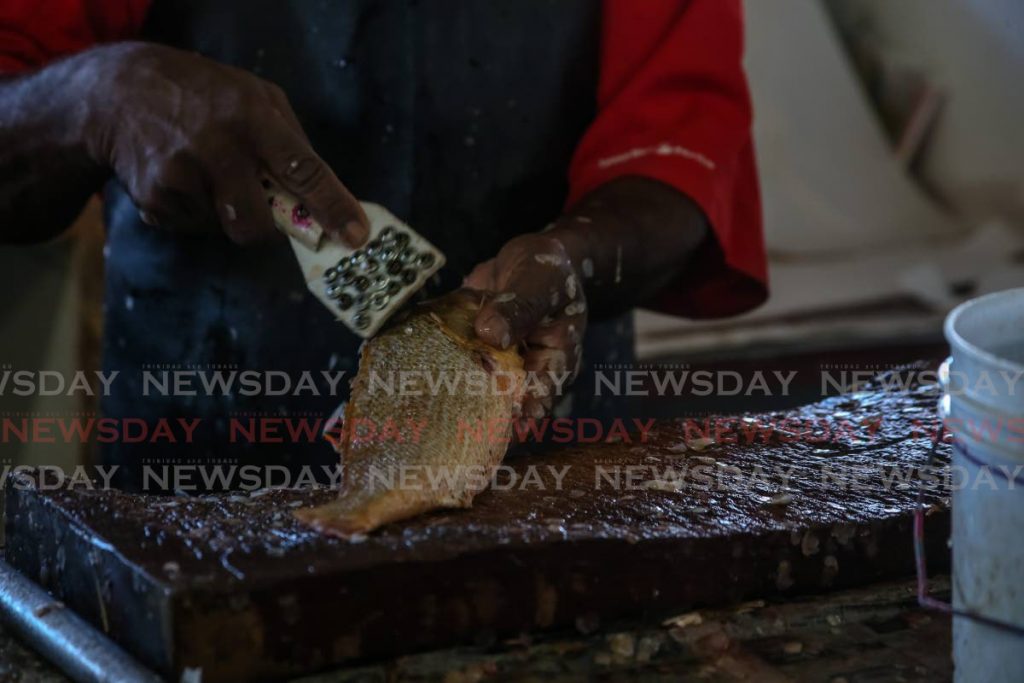 A vendor removes the scales from a fish at the Central Market, Port of Spain. Govind Seepersad, lecturer in the Department of Agricultural Economics at the University of the West Indies says imports of animal protein and preserved foods among other have been increasing. PHOTO BY Jeff Mayers - Jeff Mayers