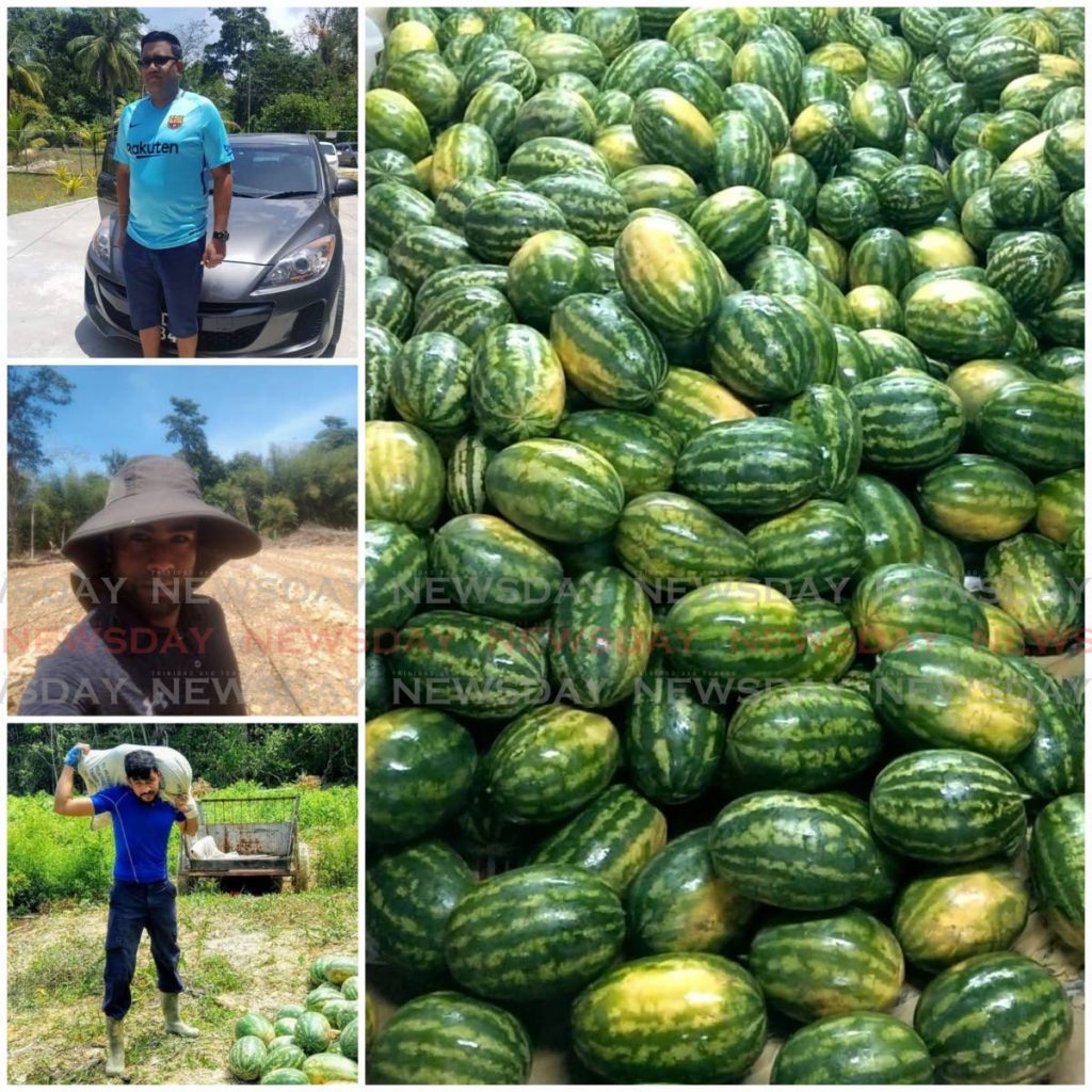 Kerry Emamdee, Shane Daniel and Nicholas Daniel are part-time farmers who gave away 2,000 lbs of watermelon - 