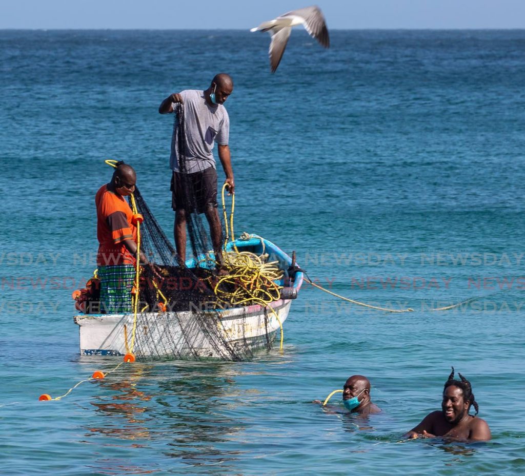 Fishermen at Grafton Beach reel in their net during the first seine-pulling of the day on Monday. PHOTO BY DAVID REID  