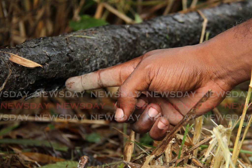 Palo Seco resident Mark Alexander points to a broken line which may have caused a gas leak through his yard last Thursday. Photo by Ayanna Kinsale
