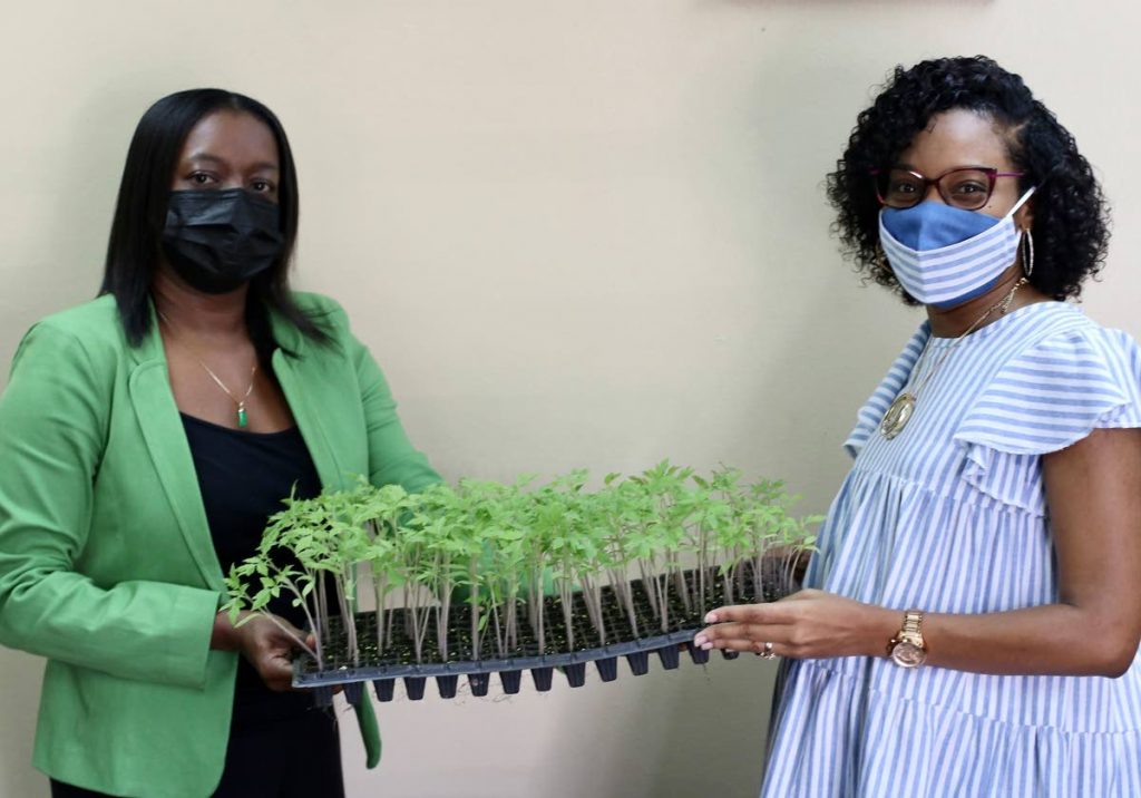 Mayor of Point Fortin Saleema McCree Thomas (right) receives seedlings from Namdevco's manager of communications public and stakeholder relations Marisa Bernard. - 