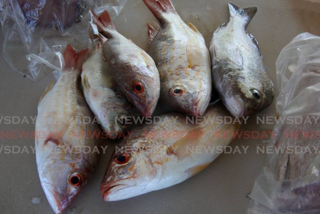 Fish on sale at a vendor's stall. File photo

USE AS MAIN IMAGE ON PAGE 8 - 