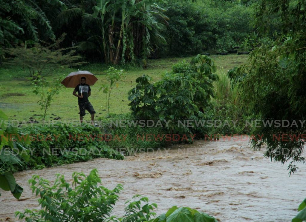 This man keeps a close eye on the water level at the Arouca River in Bon Air on Wednesday.  - AYANNA KINSALE