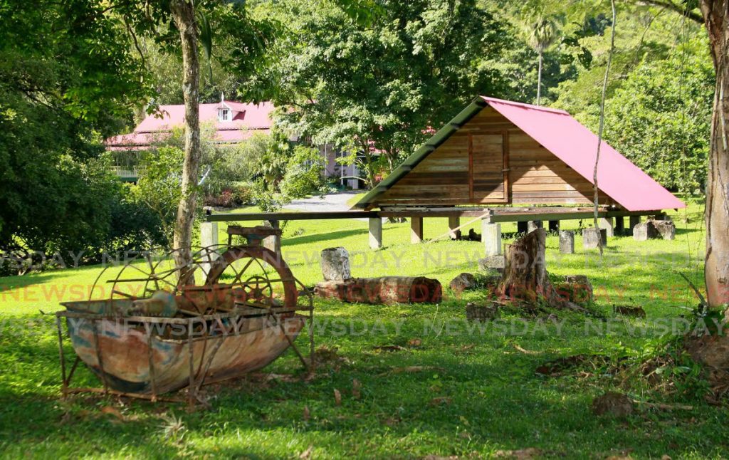 The Ortinola Cocoa Estate in the Maracas Valley, St Joseph. Photo by Roger Jacob - ROGER JACOB