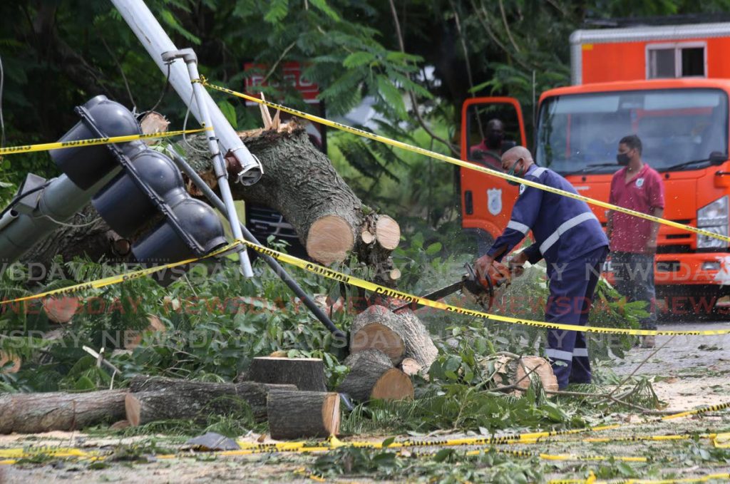 A worker from the Diego Martin Regional Corporation on Friday cuts a fallen tree that pulled down a traffic light at the Crystal Stream intersection of the Diego Martin Highway after bad weather that began Thursday night. - Photo by Sureash Cholai